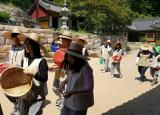 제다체험(차따기)-교원대학부속고